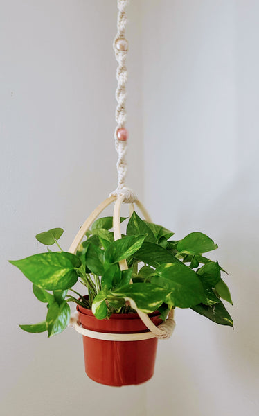 Plant Holder - Minimalist