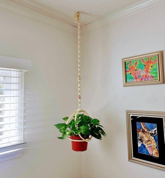 Plant Holder - Minimalist